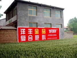 莲花如何让墙体广告展现最大化效果