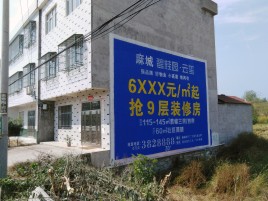 莲花墙体广告质量分析