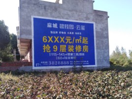 莲花品牌公司青睐的墙体广告