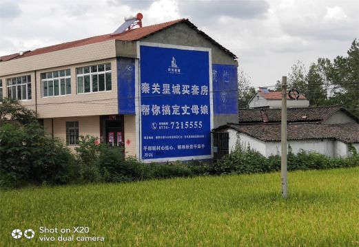 莲花决定墙体广告价格的因素有哪些?