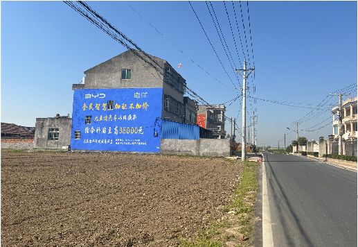 莲花墙体广告用的是什么漆？
