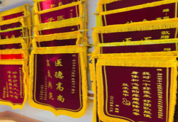 莲花锦旗类型