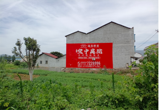 莲花做墙体广告的意义