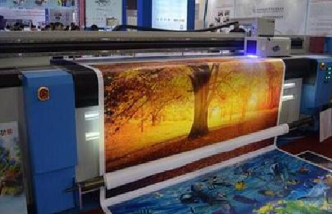 莲花写真有哪些介质？