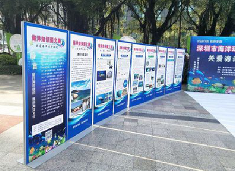 莲花KT板的种类和知识。